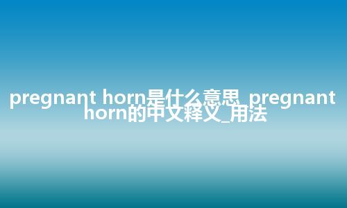 pregnant horn是什么意思_pregnant horn的中文释义_用法