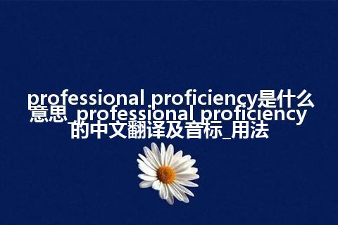 professional proficiency是什么意思_professional proficiency的中文翻译及音标_用法