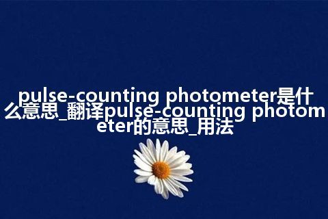 pulse-counting photometer是什么意思_翻译pulse-counting photometer的意思_用法