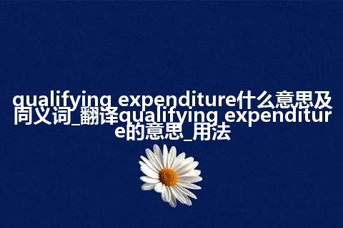 qualifying expenditure什么意思及同义词_翻译qualifying expenditure的意思_用法