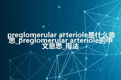 preglomerular arteriole是什么意思_preglomerular arteriole的中文意思_用法