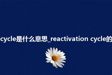 reactivation cycle是什么意思_reactivation cycle的中文意思_用法