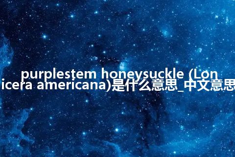 purplestem honeysuckle (Lonicera americana)是什么意思_中文意思