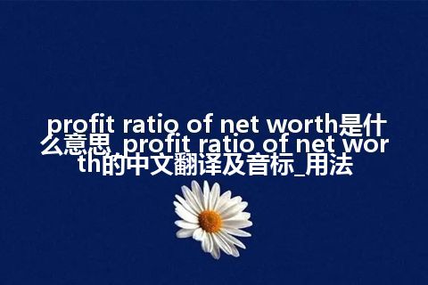 profit ratio of net worth是什么意思_profit ratio of net worth的中文翻译及音标_用法