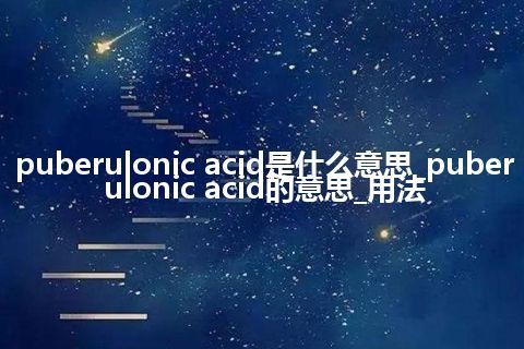 puberulonic acid是什么意思_puberulonic acid的意思_用法