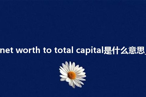 ratio of net worth to total capital是什么意思_中文意思