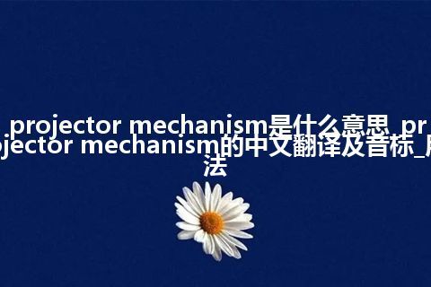 projector mechanism是什么意思_projector mechanism的中文翻译及音标_用法