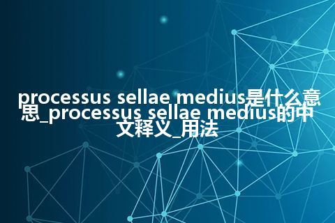processus sellae medius是什么意思_processus sellae medius的中文释义_用法