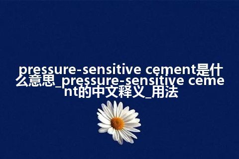 pressure-sensitive cement是什么意思_pressure-sensitive cement的中文释义_用法