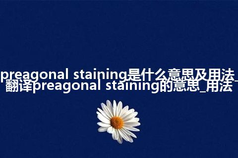 preagonal staining是什么意思及用法_翻译preagonal staining的意思_用法