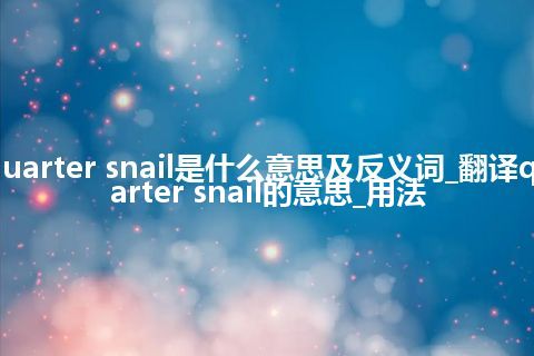 quarter snail是什么意思及反义词_翻译quarter snail的意思_用法