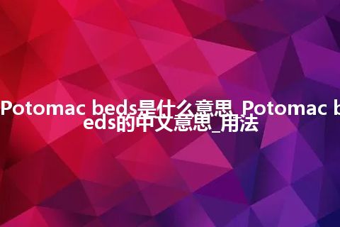 Potomac beds是什么意思_Potomac beds的中文意思_用法
