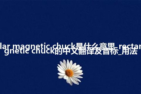 rectangular magnetic chuck是什么意思_rectangular magnetic chuck的中文翻译及音标_用法