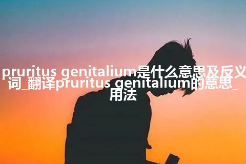 pruritus genitalium是什么意思及反义词_翻译pruritus genitalium的意思_用法