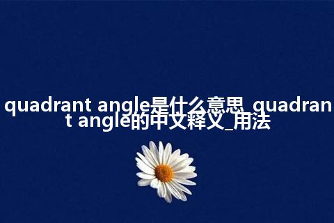 quadrant angle是什么意思_quadrant angle的中文释义_用法