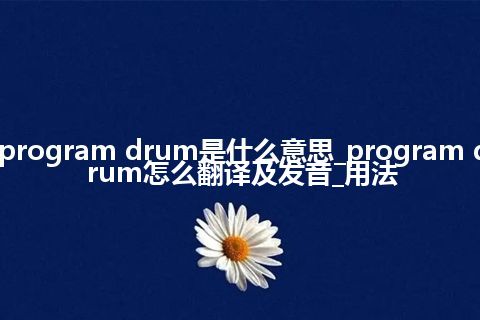 program drum是什么意思_program drum怎么翻译及发音_用法