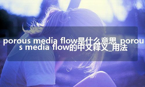 porous media flow是什么意思_porous media flow的中文释义_用法