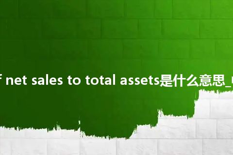 ratio of net sales to total assets是什么意思_中文意思