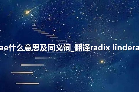 radix linderae什么意思及同义词_翻译radix linderae的意思_用法