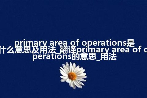 primary area of operations是什么意思及用法_翻译primary area of operations的意思_用法