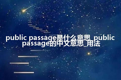 public passage是什么意思_public passage的中文意思_用法