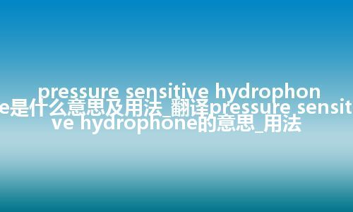 pressure sensitive hydrophone是什么意思及用法_翻译pressure sensitive hydrophone的意思_用法