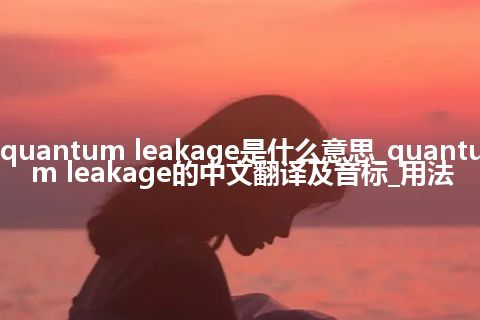 quantum leakage是什么意思_quantum leakage的中文翻译及音标_用法