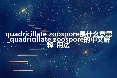 quadricillate zoospore是什么意思_quadricillate zoospore的中文解释_用法