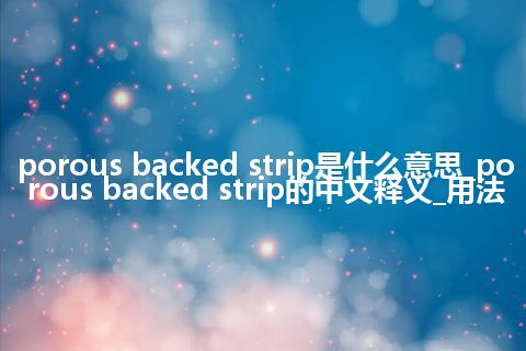porous backed strip是什么意思_porous backed strip的中文释义_用法