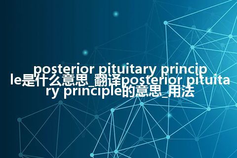 posterior pituitary principle是什么意思_翻译posterior pituitary principle的意思_用法