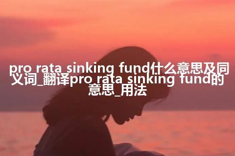 pro rata sinking fund什么意思及同义词_翻译pro rata sinking fund的意思_用法