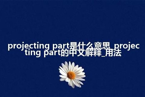 projecting part是什么意思_projecting part的中文解释_用法