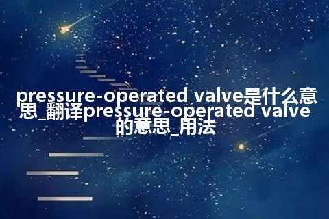 pressure-operated valve是什么意思_翻译pressure-operated valve的意思_用法