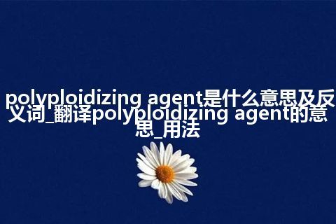 polyploidizing agent是什么意思及反义词_翻译polyploidizing agent的意思_用法