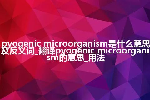 pyogenic microorganism是什么意思及反义词_翻译pyogenic microorganism的意思_用法
