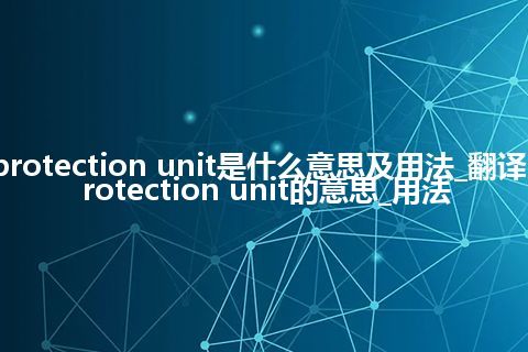 protection unit是什么意思及用法_翻译protection unit的意思_用法
