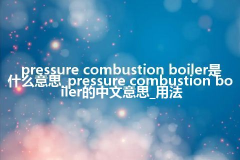 pressure combustion boiler是什么意思_pressure combustion boiler的中文意思_用法