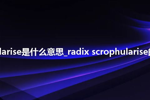 radix scrophularise是什么意思_radix scrophularise的中文释义_用法