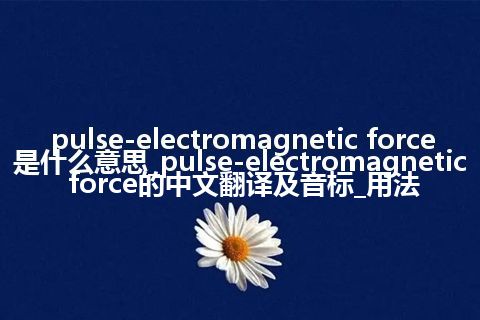 pulse-electromagnetic force是什么意思_pulse-electromagnetic force的中文翻译及音标_用法