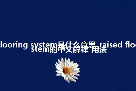 raised flooring system是什么意思_raised flooring system的中文解释_用法