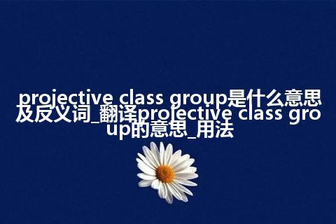 projective class group是什么意思及反义词_翻译projective class group的意思_用法