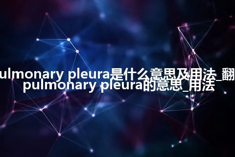 pulmonary pleura是什么意思及用法_翻译pulmonary pleura的意思_用法