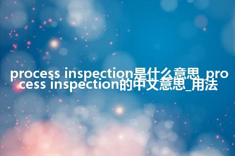 process inspection是什么意思_process inspection的中文意思_用法