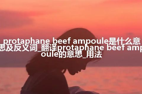 protaphane beef ampoule是什么意思及反义词_翻译protaphane beef ampoule的意思_用法