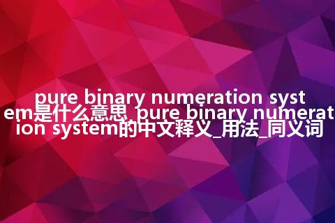 pure binary numeration system是什么意思_pure binary numeration system的中文释义_用法_同义词