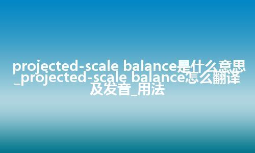 projected-scale balance是什么意思_projected-scale balance怎么翻译及发音_用法