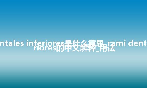 rami dentales inferiores是什么意思_rami dentales inferiores的中文解释_用法