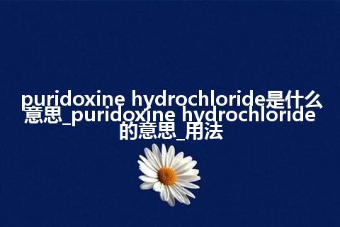 puridoxine hydrochloride是什么意思_puridoxine hydrochloride的意思_用法