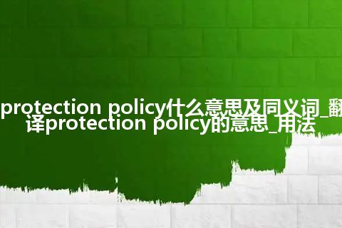protection policy什么意思及同义词_翻译protection policy的意思_用法