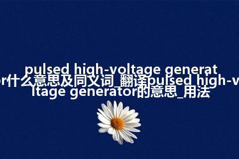 pulsed high-voltage generator什么意思及同义词_翻译pulsed high-voltage generator的意思_用法